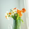 Experte verrät: Mit diesem Pflanzen-Trick halten deine Blumen 3 Wochen länger