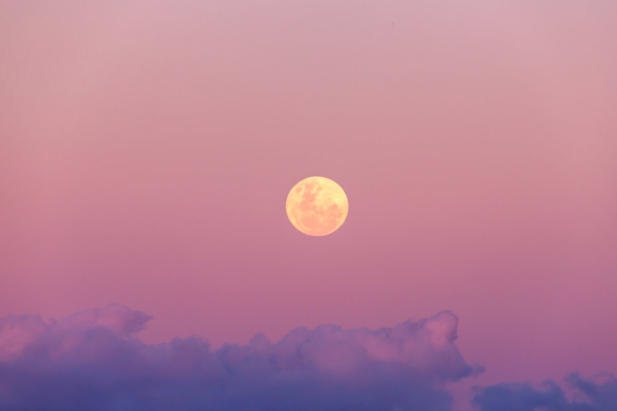 Rosa Mond