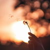 Wochenhoroskop: Darauf müssen sich die 12 Sternzeichen vom 5. bis 11. Mai gefasst machen