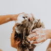 Brüchige Haare: Das ist das beliebteste Drogerie-Shampoo
