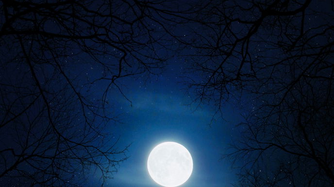 Vollmond: 3 Sternzeichen benehmen sich seit dem Wochenende völlig daneben