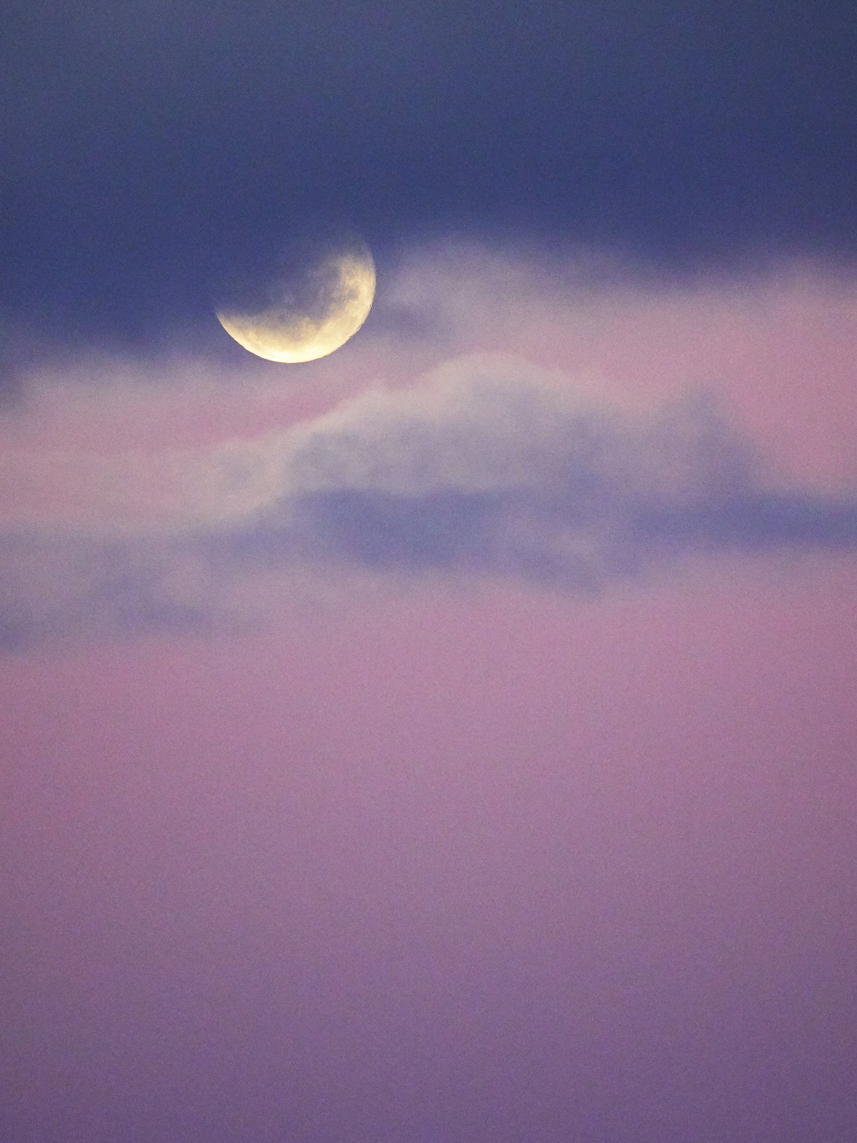 Pink Moon am 13. April: Diese 3 Sternzeichen müssen loslassen
