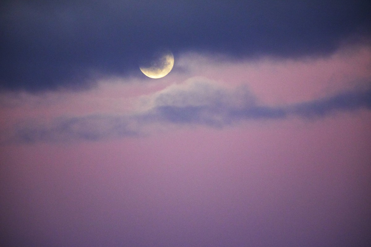 Pink Moon am 13. April: Diese 3 Sternzeichen müssen loslassen