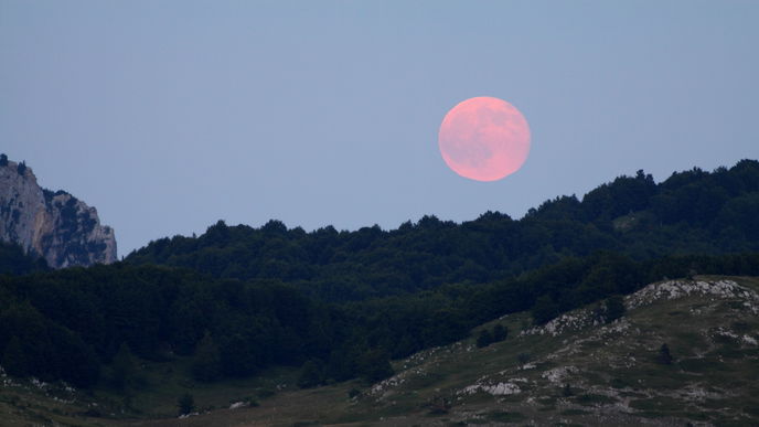 Pink Moon: 3 Sternzeichen finden endlich inneren Frieden