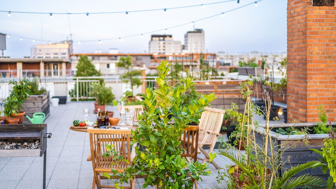 Sommerparty planen: So wird dein Fest unvergesslich