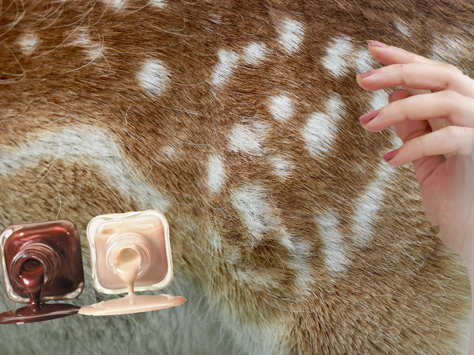 Bambi Nails