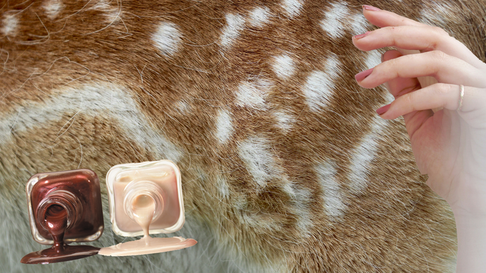 Nageltrend: Zarte Bambi Nails sind die süßeste Maniküre der Saison