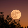 3 Sternzeichen, für die der heutige Supervollmond alles durcheinander bringt