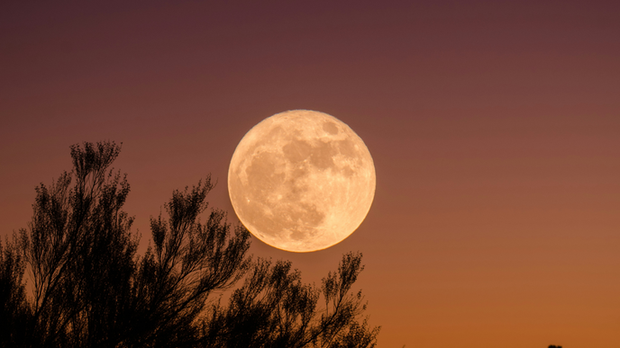 3 Sternzeichen, für die der heutige Supervollmond alles durcheinander bringt