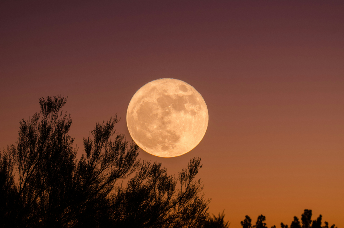 Vollmond am Himmel