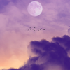 Schicksals-Horoskop: 3 Sternzeichen erhalten eine wichtige Botschaft aus dem Universum