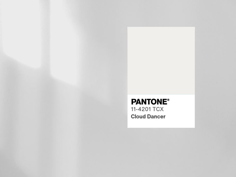 Graue Wand mit der Pantone Colour of the Year 2026 darauf.