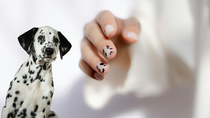 Nageltrend 2026: Dalmatiner Nails sind die süßeste Maniküre für alle Dog-Lover