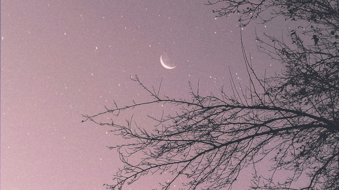 Der Neumond am 18. Januar katapultiert 3 Sternzeichen in ein völlig neues Leben