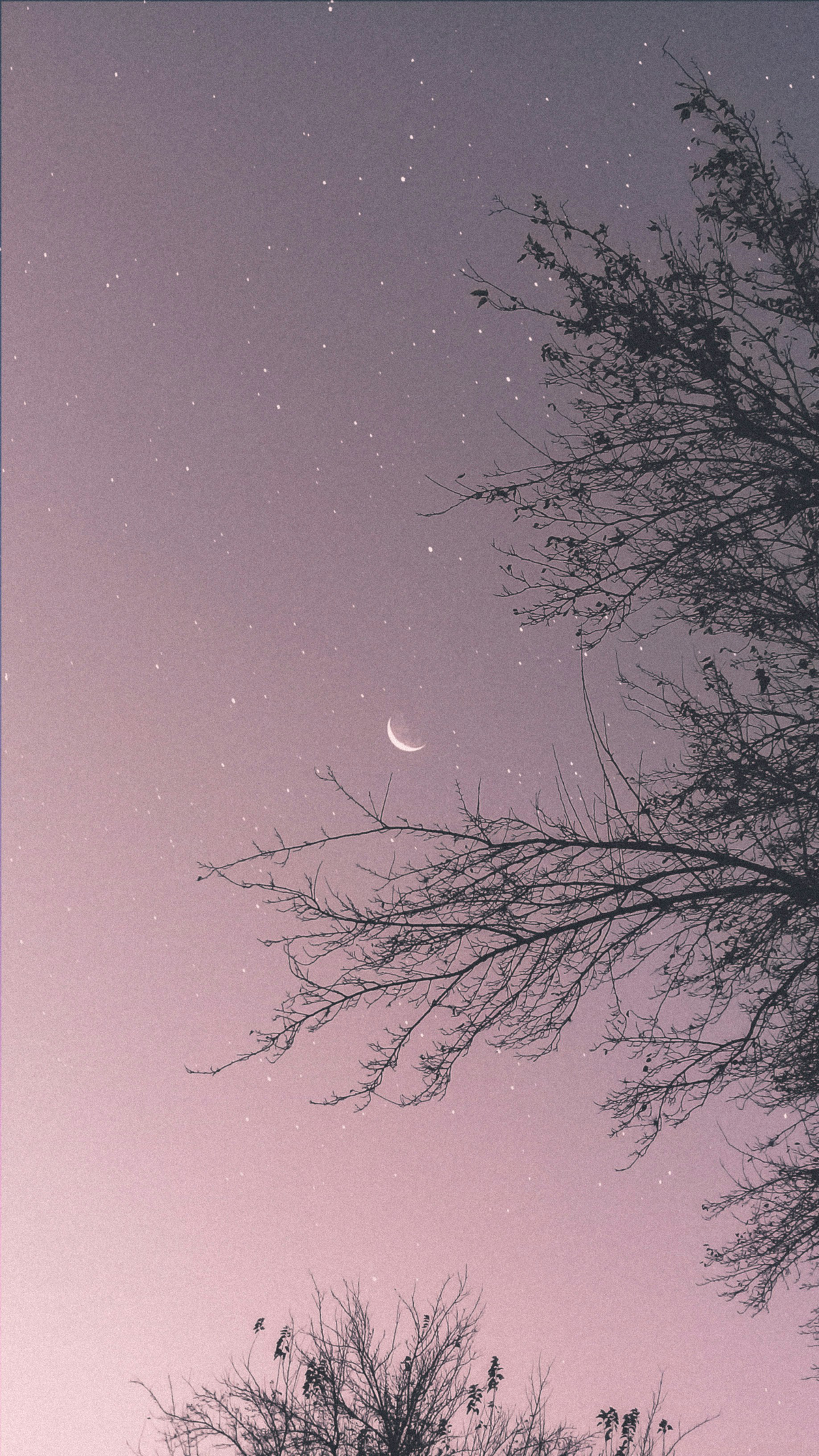 Sternenhimmel mit schmalem Mond