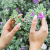 Nail Trends 2026: 10 florale Nageldesigns für eine zauberhafte Frühlingsmaniküre