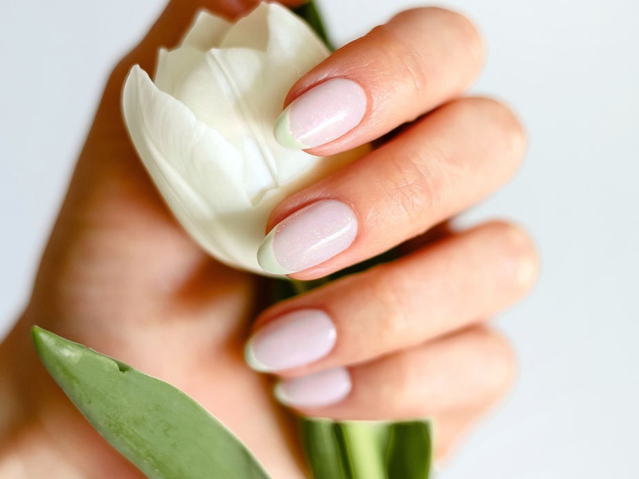 Gemachte Fingernägel einer Hand, die eine Tulpe hält