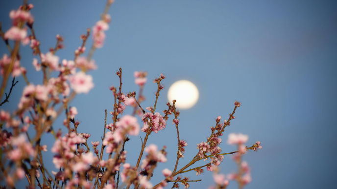 Wochenhoroskop: So aufregend wird die Woche noch bis Sonntag für dein Sternzeichen