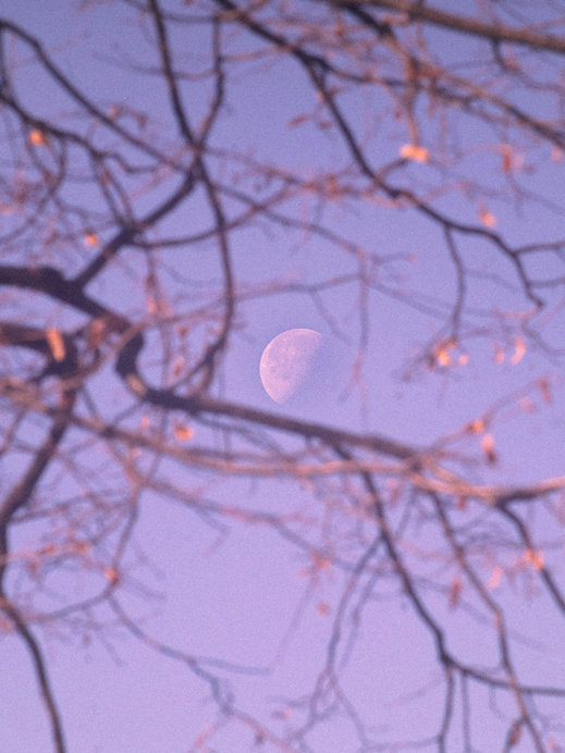 Horoskop heute: Dein Tageshoroskop am 2. September 2026