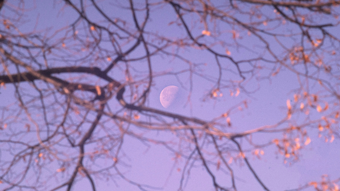 Horoskop heute: Dein Tageshoroskop am 1. September 2026