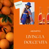 Gewinne mehr Style mit Mionetto Orange Spritz Aperitivo Ready-to-Serve