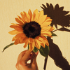 Übergangsmaniküre: Sonnenblumen-Nägel begleiten uns vom Sommer in den Herbst
