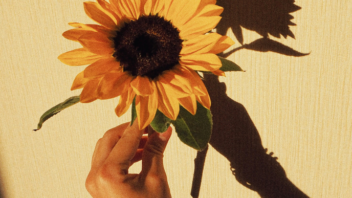 Übergangsmaniküre: Sonnenblumen-Nägel begleiten uns vom Sommer in den Herbst