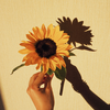 Sonnenblumen-Nägel sind die schönste Übergangs-Maniküre zum Herbst
