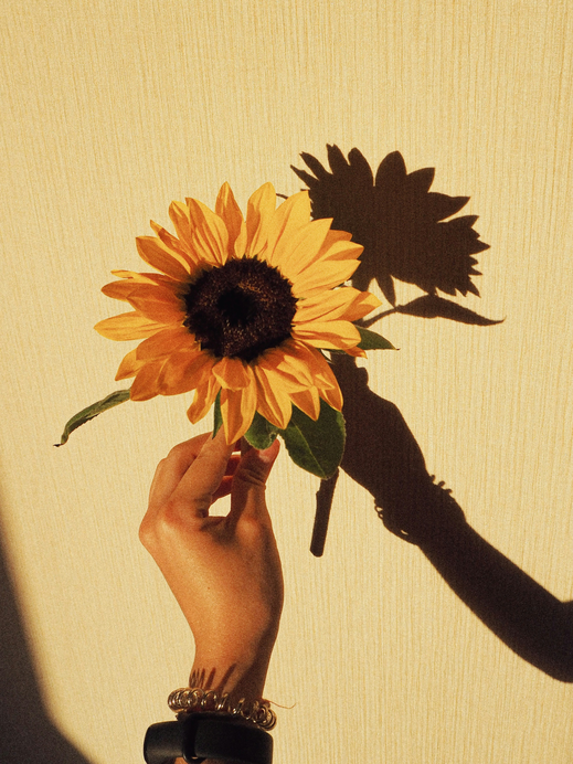 Sonnenblumen-Nägel sind die schönste Übergangs-Maniküre zum Herbst
