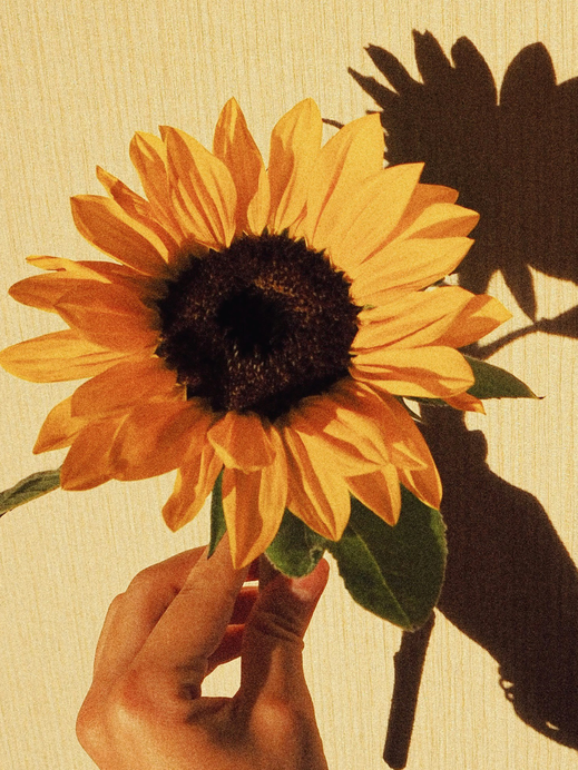 Übergangsmaniküre: Sonnenblumen-Nägel begleiten uns vom Sommer in den Herbst
