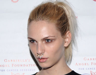 andreja-pejic-380x296-1974267.jpg