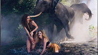 Wild! Der Pirelli-Kalender 2009