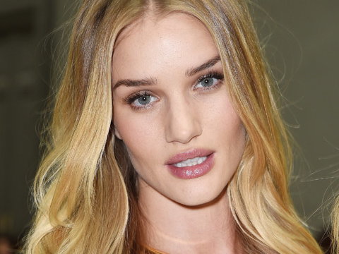 rosie-2014305.jpg