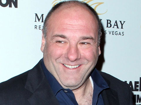 jamesgandolfini-tot-480x360-1819508.jpg