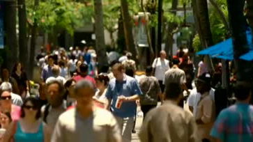 Trailer zu "The Descendants"