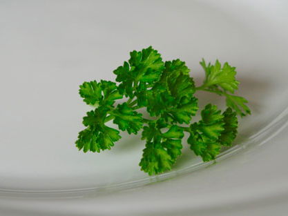 anoreixie-aufmacher-teaser520x313-1629831.jpg