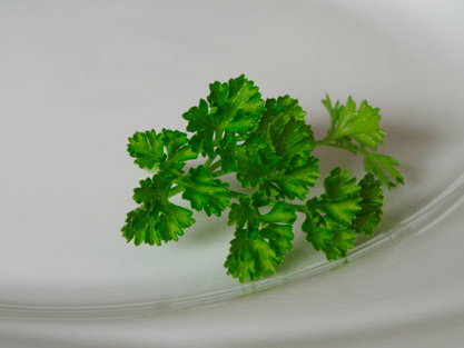 anoreixie-aufmacher-teaser520x313-1629831.jpg