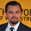 Leonardo DiCaprio: Kein Oscar 2014