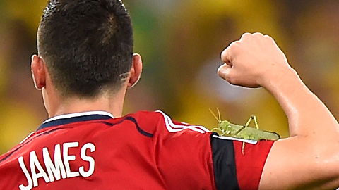 James Rodriguez von riesigem Insekt attackiert