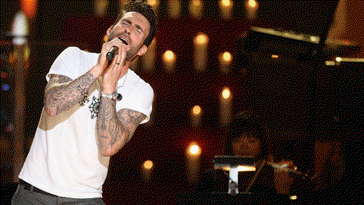 Adam Levine und Behati Prinsloo sind "Animals"