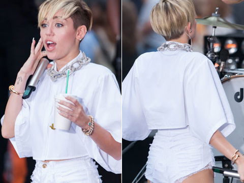 miley-cyrus-underbutt-480x500-1868103.jpg