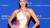 White House Dinner - eine Stilkritik