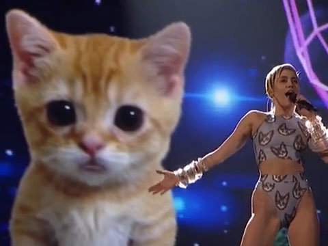 singing-cat-miley-cyrus-480x360-1888498.jpg