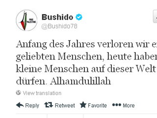 bushido-tweet-zwillinge-1886863.jpg