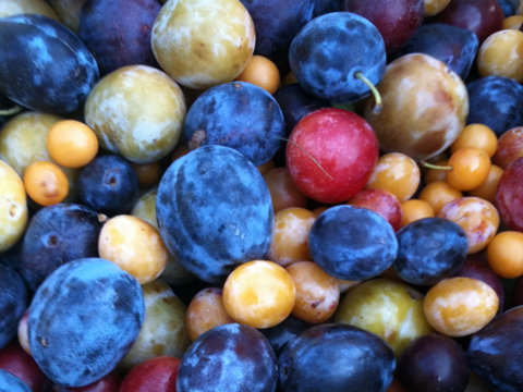 obst-2079906.jpg