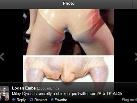 chicken-meme-1868103.jpg