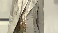 Fashion-Trend 2008: zarter Schimmer und Metallic