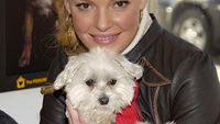 Durch die Jahre mit Katherine Heigl