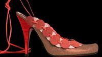 Carmen's shoes