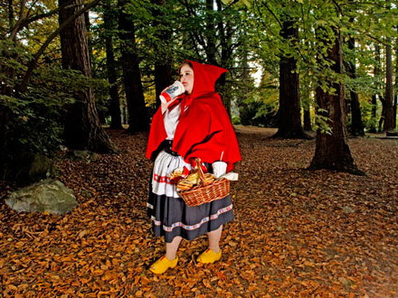 red-ridding-hood-1841400.jpg